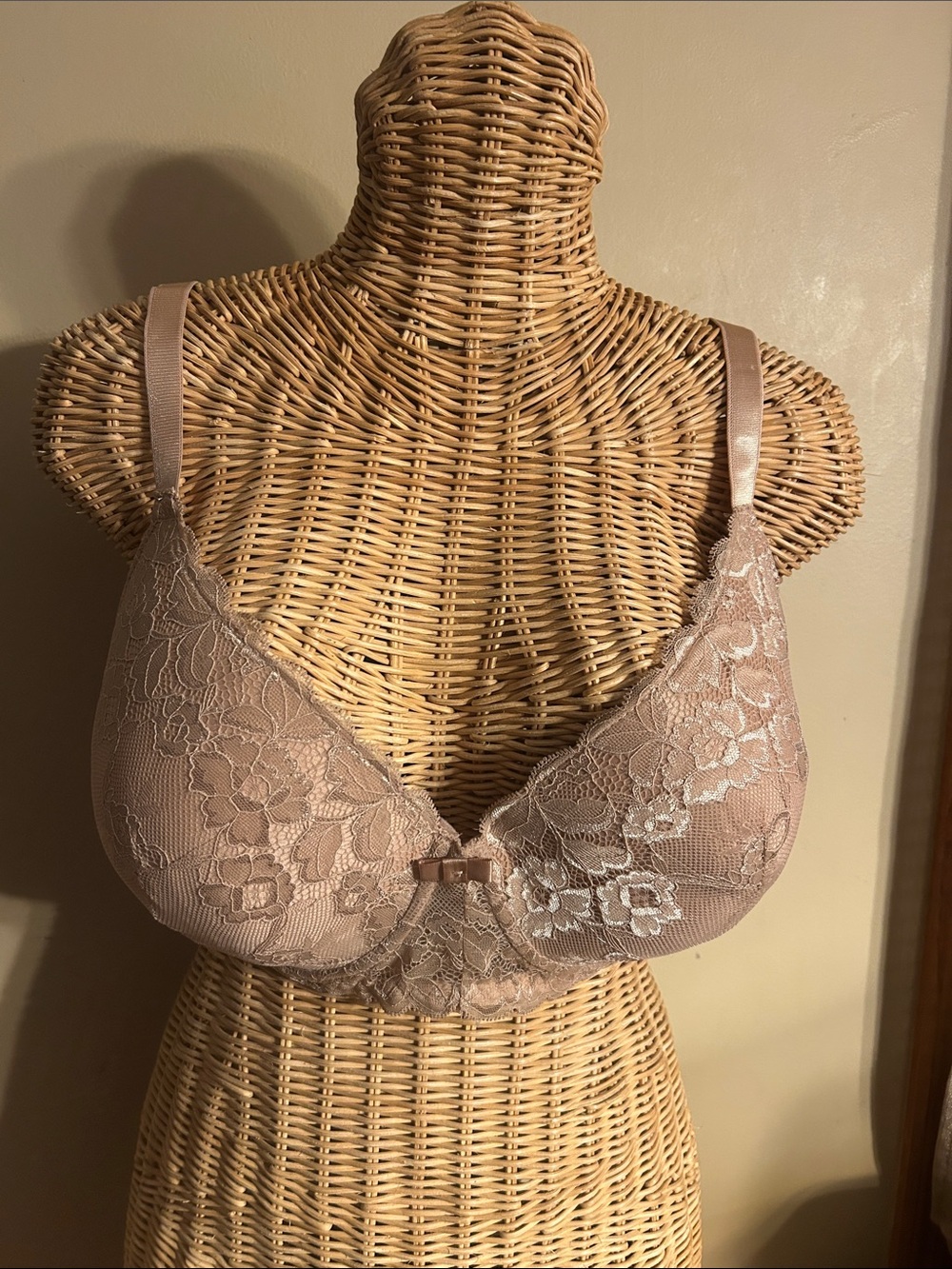 Lace Plunge Bra 40C